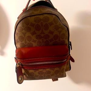 Authentic, trendy, classy, convenient, versatile, refined leather mini-backpack.